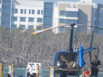 article image - IMG_9495